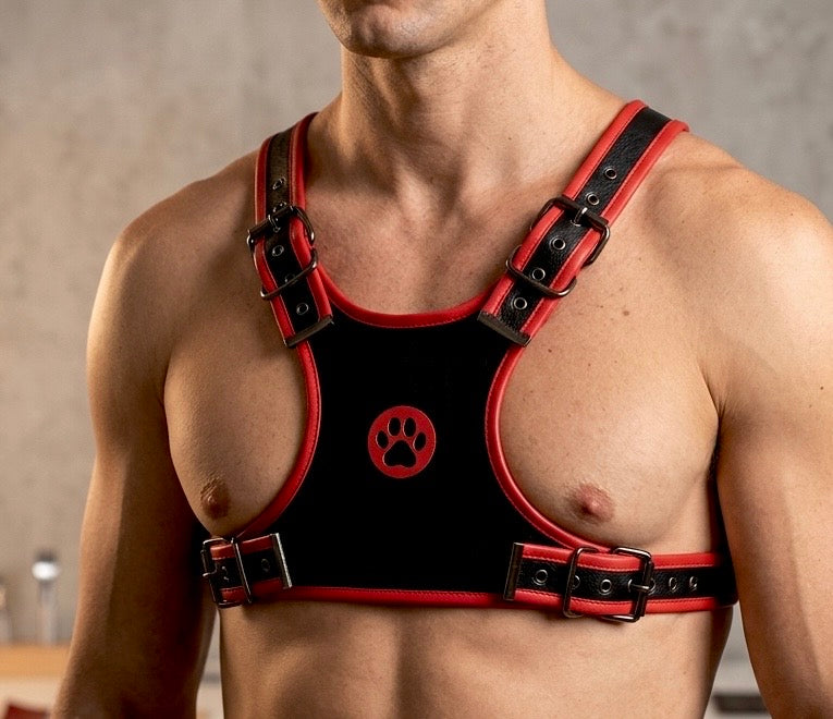 Harnesses
